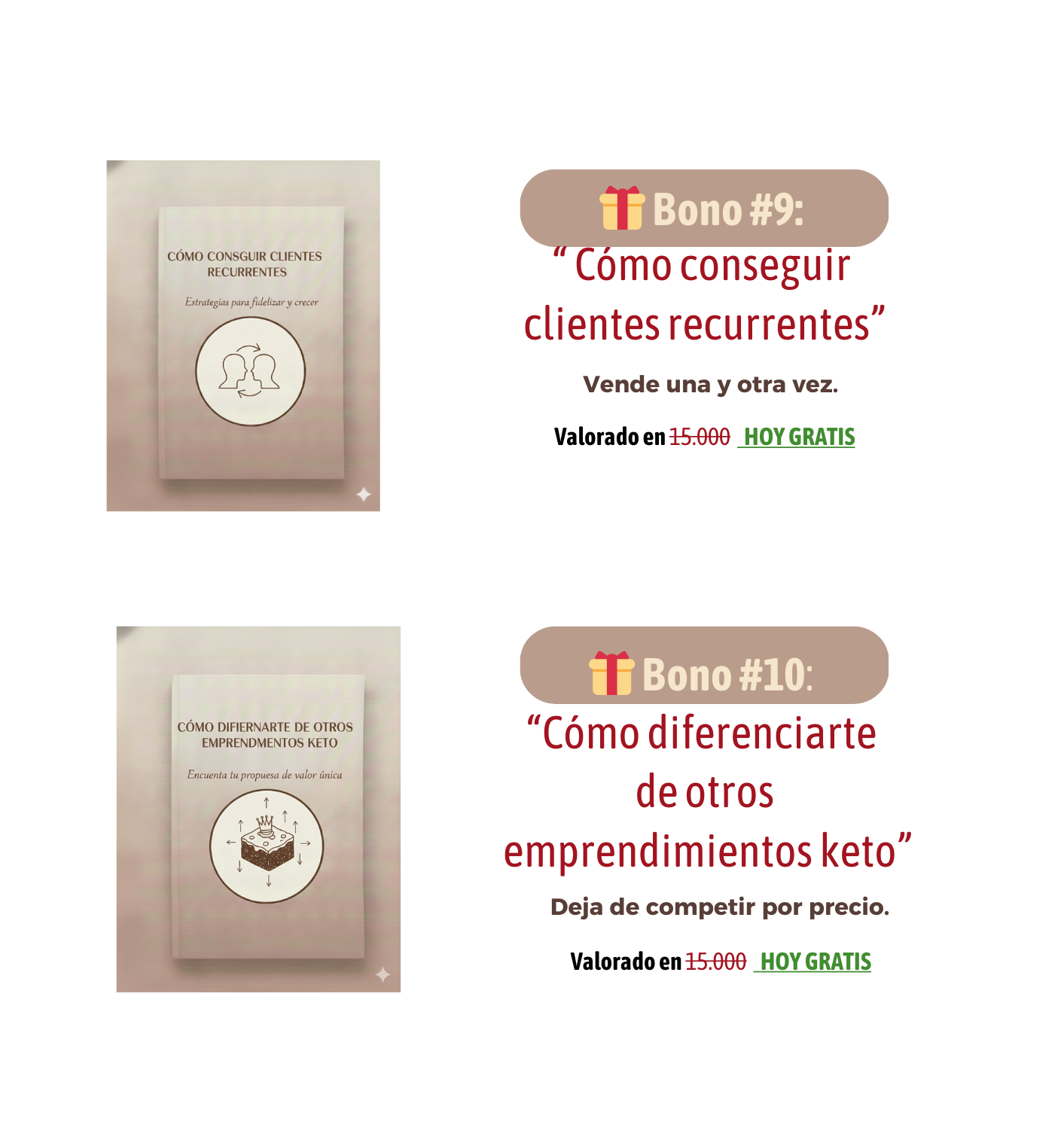 Brownie KETO Money Maker: "Guía Profesional para Emprender Desde Casa” y ganar dinero!!