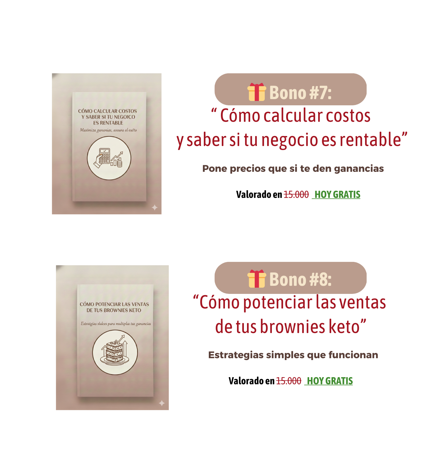 Brownie KETO Money Maker: "Guía Profesional para Emprender Desde Casa” y ganar dinero!!